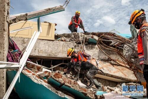 印尼地震死亡人数升至81人