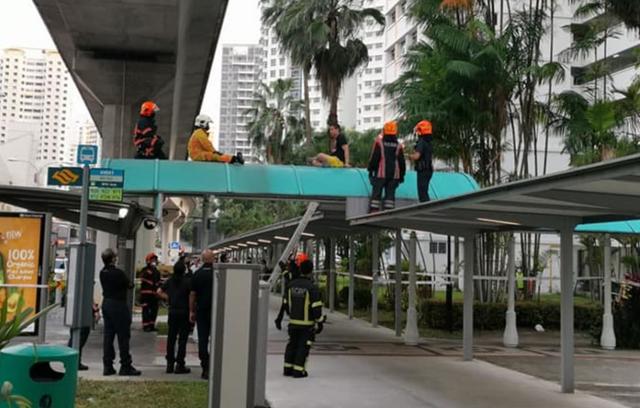 新加坡男子不顾警察警告“登天”思考人生，好嚣张！你咋不上天？