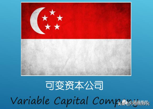 新加坡——可变动资本公司（VCC）