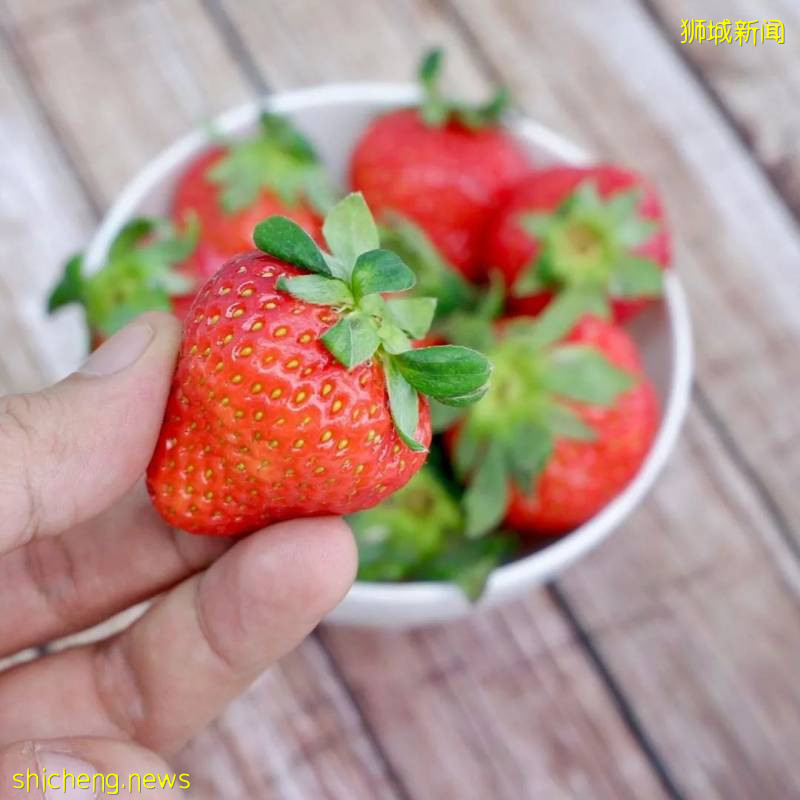 这么多年在狮城逛超市，难道我都白逛了吗