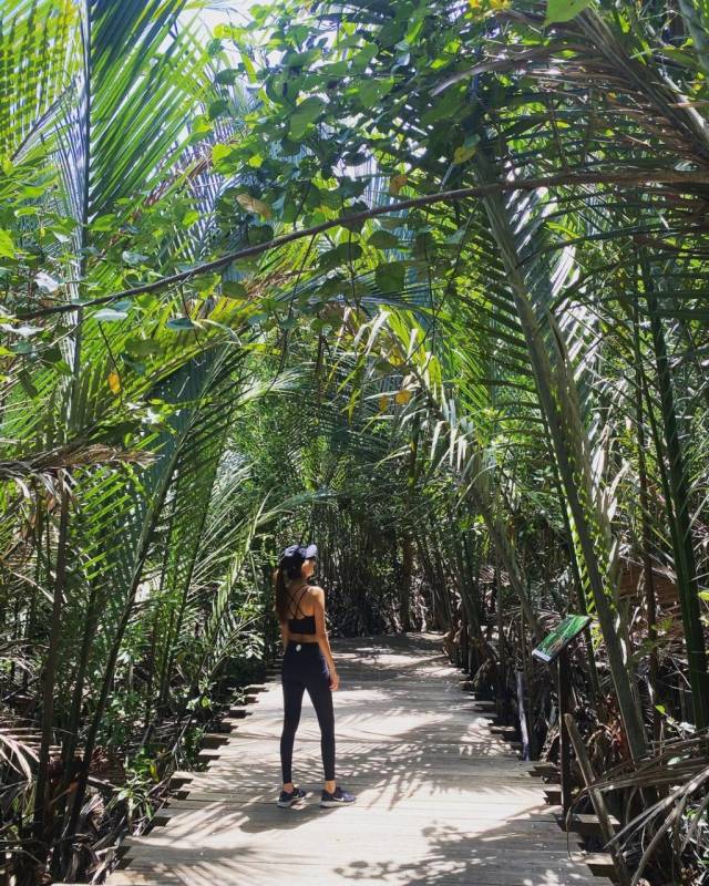 新加坡多元化自然生态！Chek Jawa Wetlands 岛上湿地公园🏝 徒步探索、沿海浮桥邂逅美景