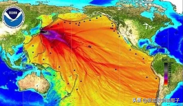 今天，日本官宣排核废水入海！将致癌、海鲜变异！新加坡网友怒了