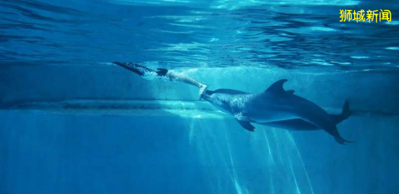 分享狮城一些名胜与风景——新加坡圣淘沙名胜世界