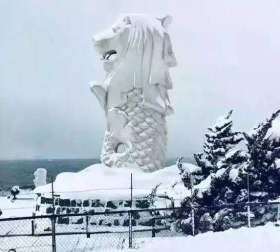 新加坡“最湿日”来袭,全岛满满的“湿”意?