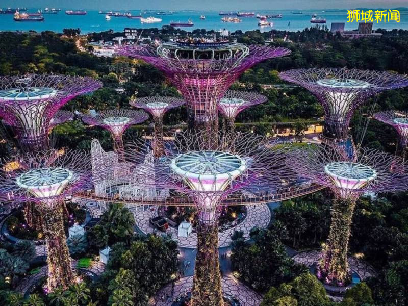 新加坡和香港,去哪读书性价比最高