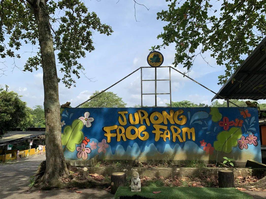 可使用【重新探索新加坡消费券】牧羊场、青蛙农场、双溪布洛带你走透透