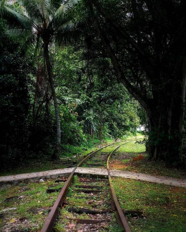 🚥通往裕廊的废弃铁路🚞 新加坡隐秘的角落,徒步探险、摄影爱好者秘密基地 🧭