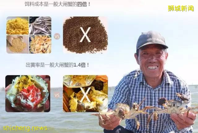 铛铛铛！万众期待的蟹中“小鲜肉”，舌尖六月黄大闸蟹登陆狮城啦