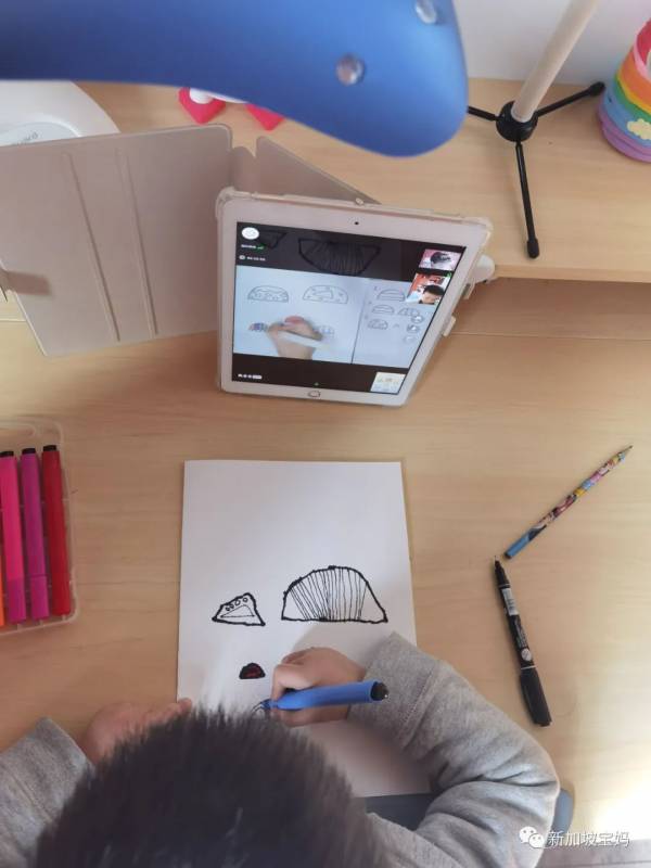 太难了！在新加坡上学，除了学习，这一项差了也进不了名校