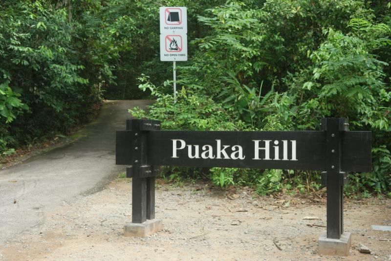 20190301-Pulau Ubin Puaka Hill.jpg