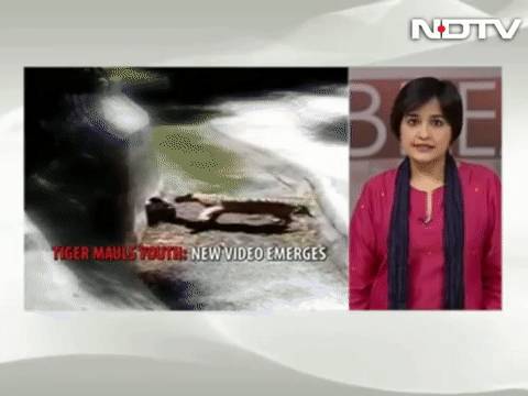 残忍！上海动物园熊吃人，亲眼目睹！新加坡也发生过类似案件！印度最惨