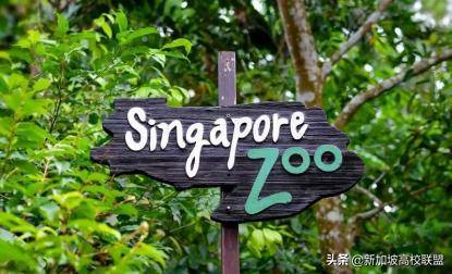 新加坡生活图鉴 有什么是到了新加坡才知道的