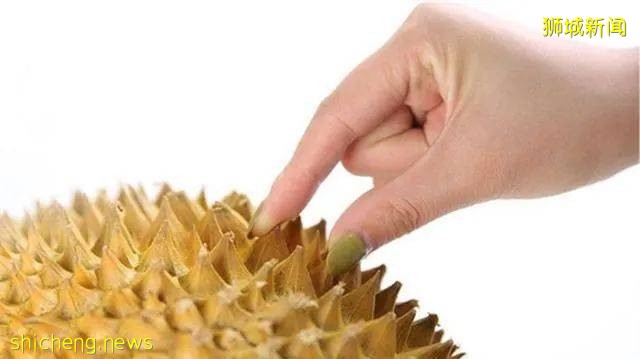 新加坡榴梿全攻略！实拍挑战芥末和烧烤榴梿！太刺激了