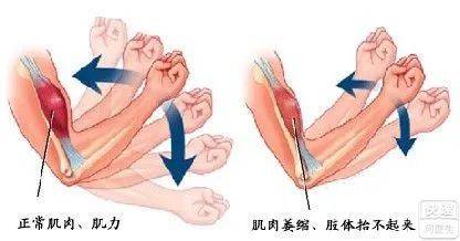 NTU 合作研发的食品3D打印技术，你想尝尝吗