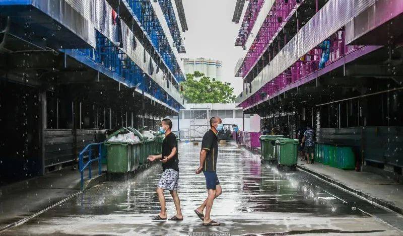 新加坡人力部与卫生部推出客工宿舍防疫教材提高客工卫生水平，新加坡政府在疫情期间还为客工做了什么