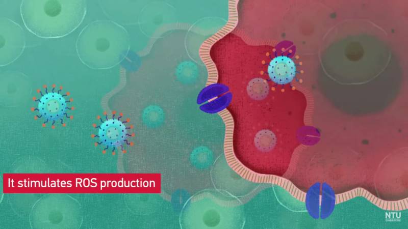 重大突破！南洋理工大学最新研究无药物抗癌疗法