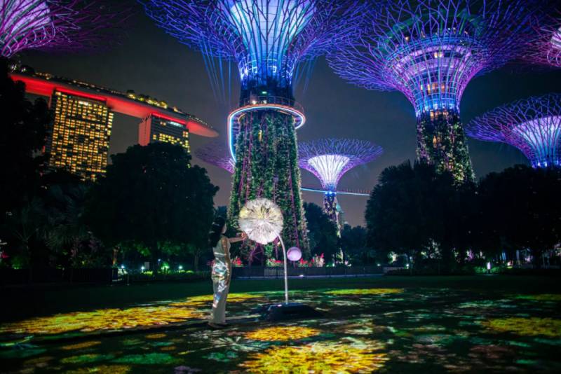 滨海湾花园出现一朵蒲公英，快来打卡