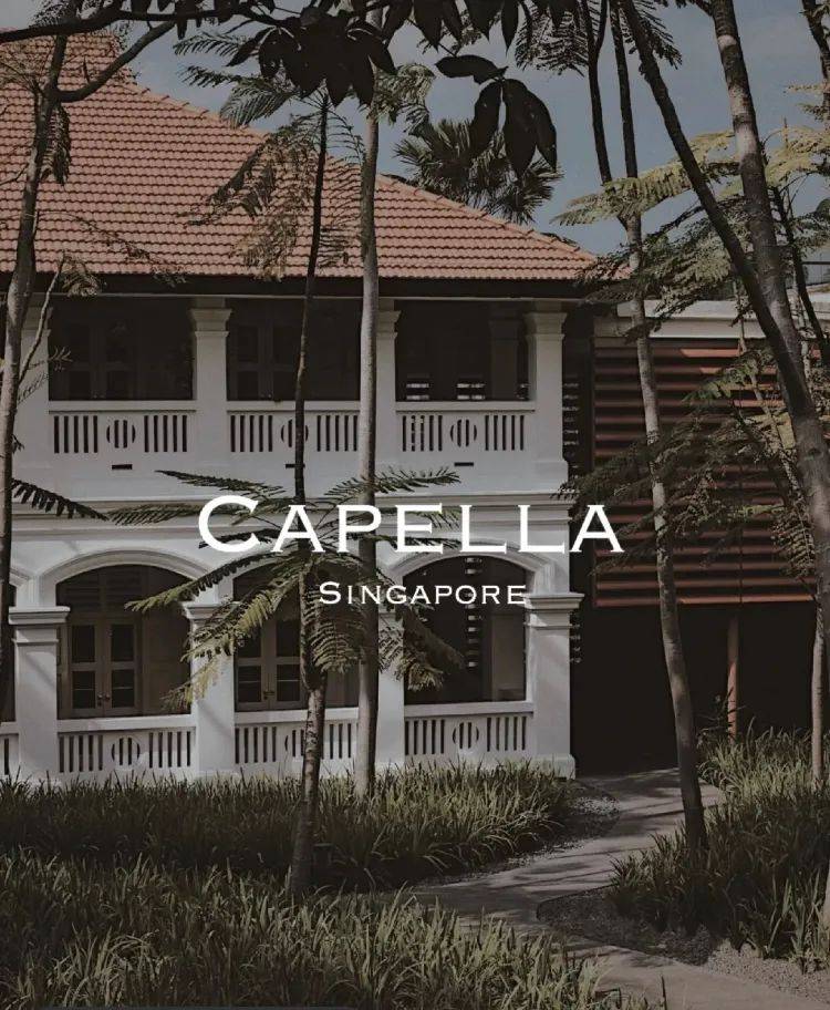 ‘staycation在新加坡特辑’Vol.2 : 这几家绝对小众的艺术酒店，让你一秒切换度假状态