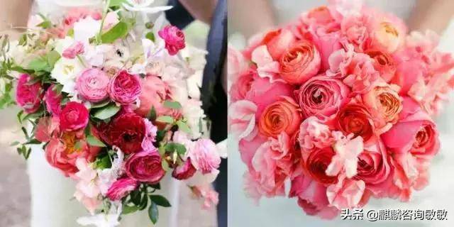 新加坡10个世界最便宜