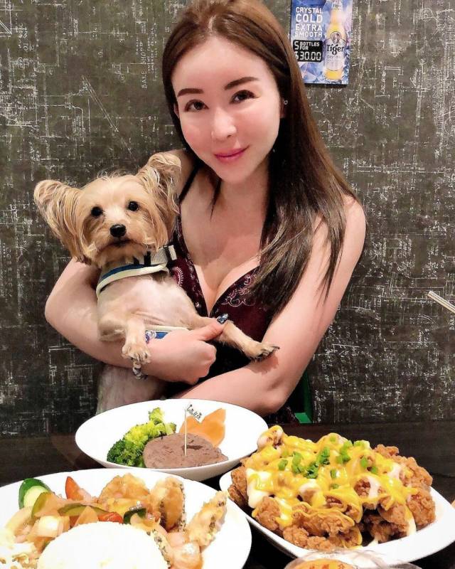 超治愈撸狗圣地 ！和狗狗来一场亲密约会🐶 宠物聚集地，把这份可爱收藏起来💌