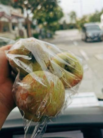 “你们辛苦了！” 马赛地姐送3粒苹果 叮咛马劳照顾身体