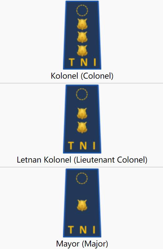 印尼海军军衔：元帅只是荣誉军衔，上将四颗星，准尉协助尉官工作