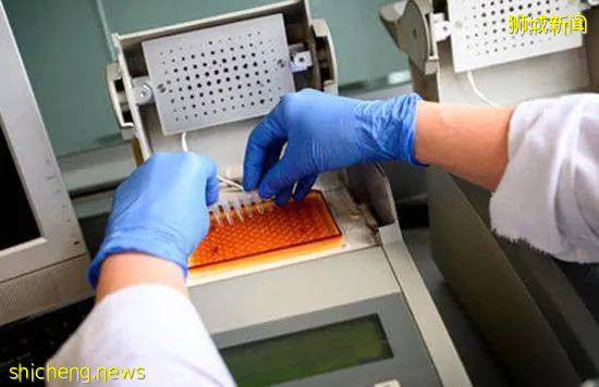 新加坡患者路线增加2个地方 | 研究:新冠病毒变异,传染力或高10倍
