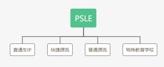 一篇文章带你看懂新加坡复杂的教育体系：为什么说低龄留学更具有优势