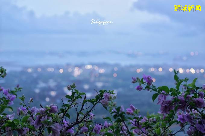 你为什么需要新加坡？旅行家、企业家、未来家来告诉你