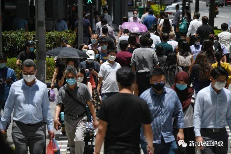 新创职位仅28%成功配对本地员工 因为新加坡人在“某方面”不合格