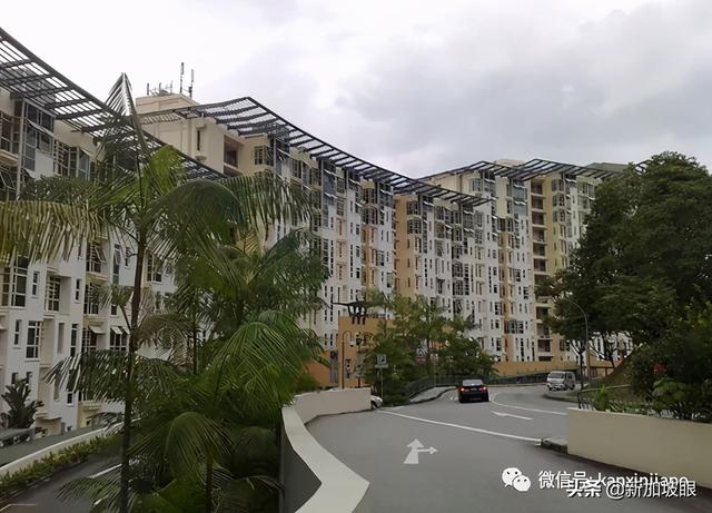 新加坡国大再爆性骚扰案件！大四奖学金生遭开除