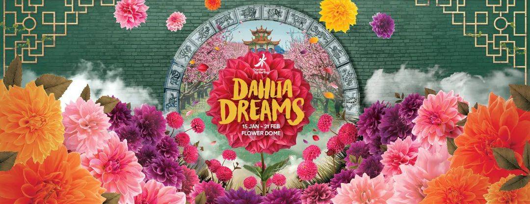 滨海湾花园新春花卉展【大丽花之梦】，1月15日开幕！喜气洋洋迎牛年