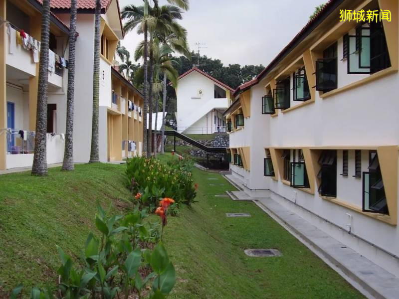 全文干货！疫情期间留学生入境新加坡攻略