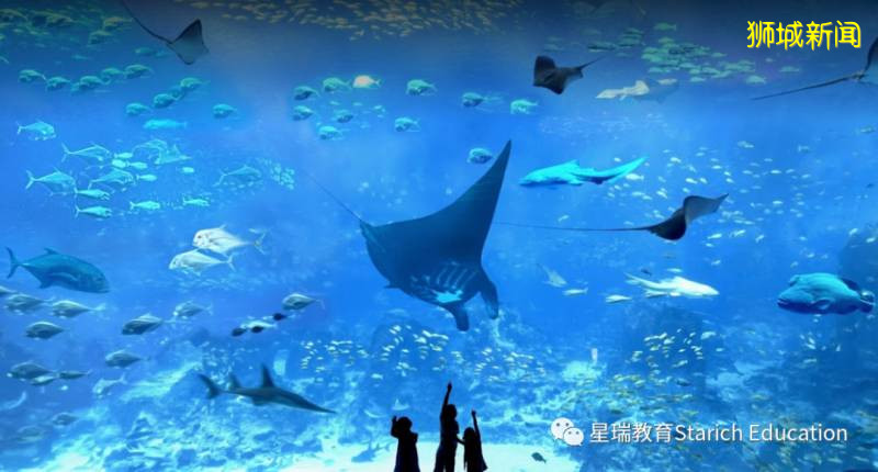 疫情后重启，新加坡必打卡景点，一起假装“度假”去吗