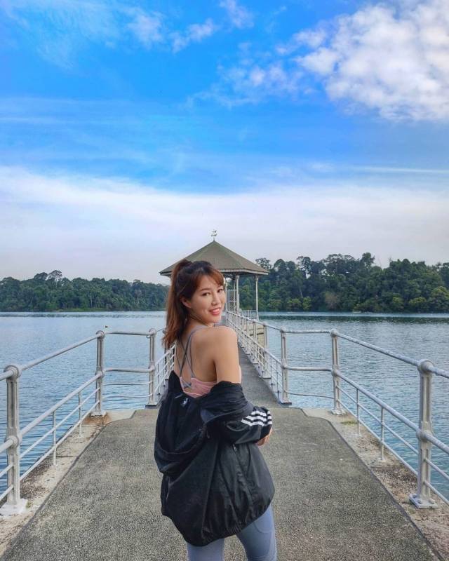 新加坡“麦里芝蓄水池 MacRitchie Reservoir”深度游！自然仙境、徒步指南、周边活动逐个看