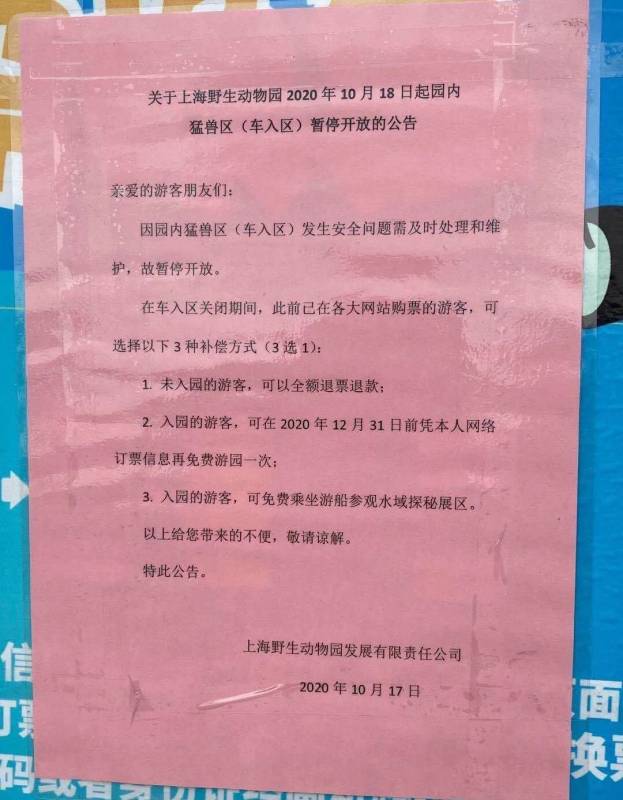 残忍！上海动物园熊吃人，亲眼目睹！新加坡也发生过类似案件！印度最惨