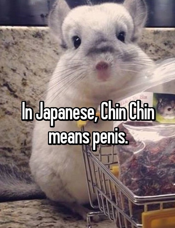 Chin chin in Japanese.jpg