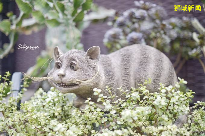 你为什么需要新加坡？旅行家、企业家、未来家来告诉你