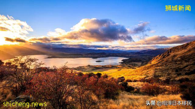 移民日本，与移民美、加、澳、新、欧的区别概述