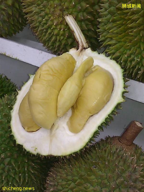 新加坡榴梿全攻略！实拍挑战芥末和烧烤榴梿！太刺激了