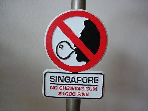 新加坡留学 留学必看！超全攻略，不能错过