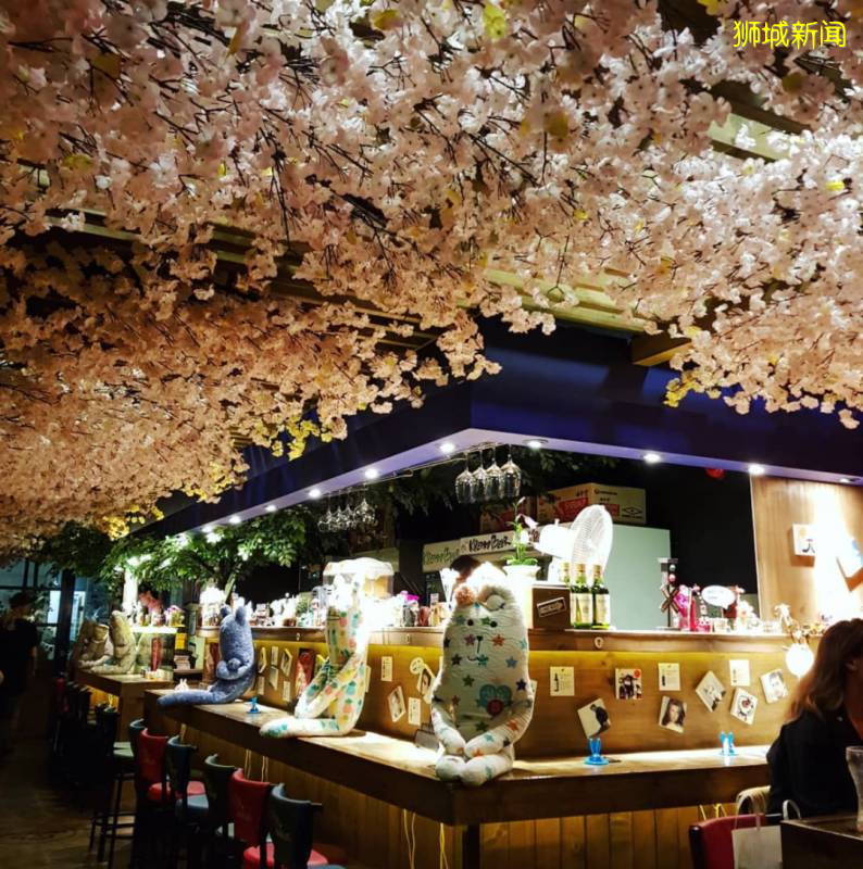 哇,又发现了这5家宝藏cafe,周末有好去处咯