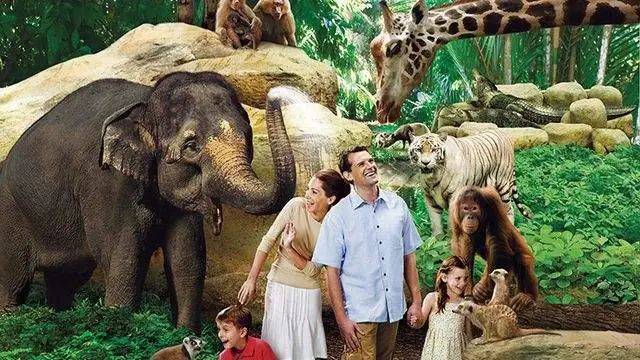 项目讲解！新加坡移民