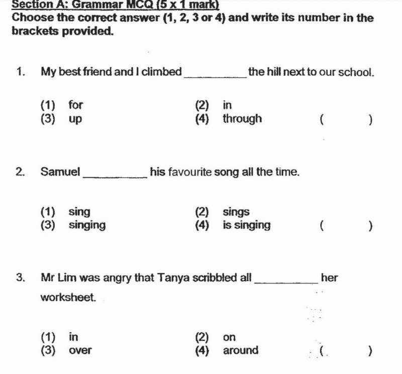 新加坡的小学生原来这么难？深扒小学试卷有多烧脑