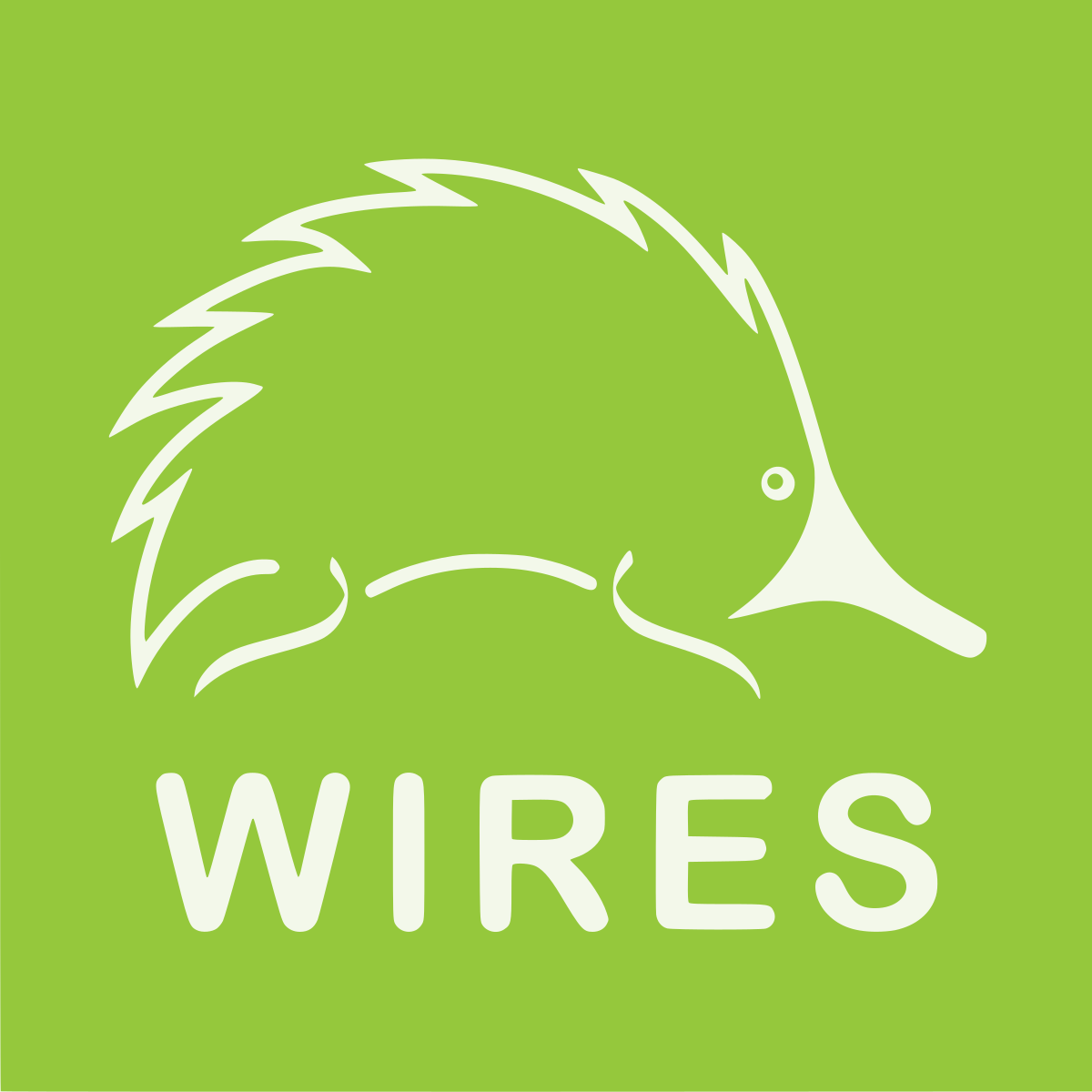 wires 20200107.png