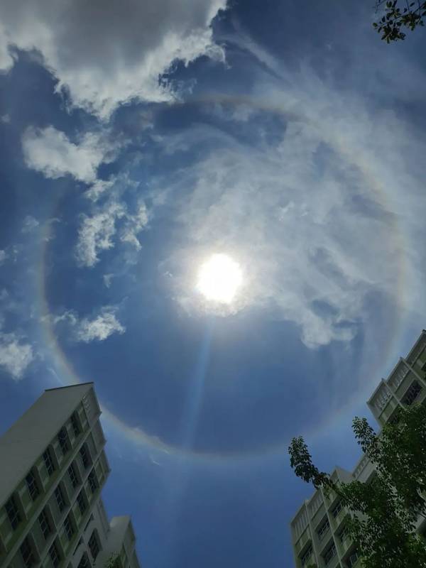 新加坡惊现绝美日晕彩虹光环，李显龙总理、王瑞杰副总理也转发了