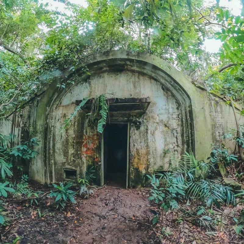 新加坡探险基地🧭 被遗弃的地堡！殖民期保留至今，岁月沧桑+攀藤弥漫的历史遗迹