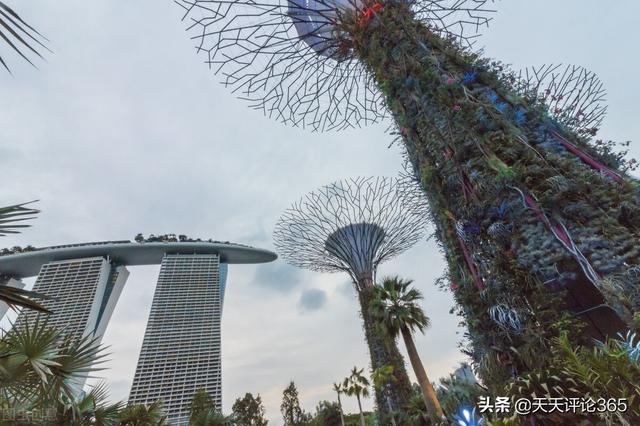 「中國看世界」新加坡和日本，哪個更適宜居住？新加坡略勝一籌