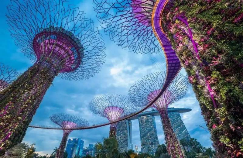 新加坡留学 为什么新加坡是海外求职的首选？新加坡留学奖学金政策及优势专业有哪些