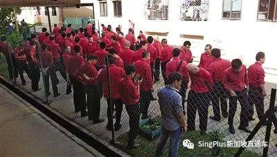 新加坡客工的难，绝不是从这次疫情开始的